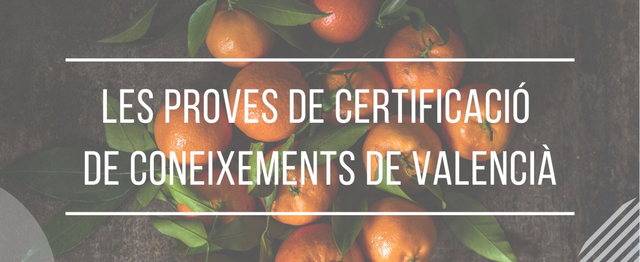 LES PROVES DE CERTIFICACIÓ DE CONEIXEMENTS DE VALENCIÀ - Beta Formación ...